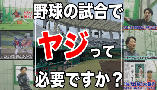 【野球の試合でヤジは必要か？】そもそもヤジとは何なのか？嫌なヤジを集めました